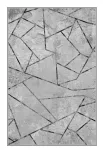 Vaip Conceptum Hypnose EEXFAB825 369HFT3430, hall v., 230 cm x 160 cm