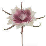 Kunstlill Flore 65, valge v./roosa v., 65 cm