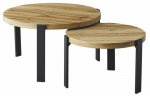 Kohvilaudade komplekt Polo, tamm v., 80 cm x 80 cm x 45 cm, 2 tk