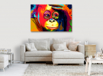 Reproduktsioon Artgeist Colourful Orangutan, g-b-0078-b-a, 30 cm x 20 cm