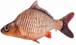 Pehme m&auml;nguasi kala Fancy Carp, pruun v., 34 cm