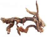 Akvaariumi dekoratsioon Terra Natura 42005, pruun, 30 cm