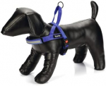 Koerte traksid Beeztees Harness, sinine v., 720 - 900 mm x 25 mm, 72-90