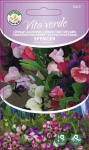 Seemned Vita Verde seahernes Spencer Lathyrus Odoratus L.