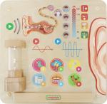 Arendav tahvel, inimkeha Masterkidz Sense Of Hearing, eriv&auml;rviline/beež v.