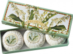 Seebikomplekt Fiorentino Lily of the valley, maikelluke, 300 g, 3 tk