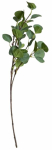 Kunstoks, eukal&uuml;pt Homla Basic, pruun v./roheline v., 65 cm