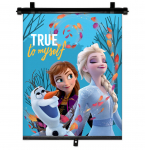 Autoakna kardin Disney, 45 cm x 36 cm, mitmev&auml;rviline
