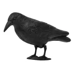 Aiakuju "Lind" Bradas Raven, 41 cm x 12 cm x 24 cm, must v.