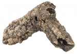 Akvaariumi dekoratsioon Terra Natura Cork Tubes, 1 kg, pruun v., 60 cm