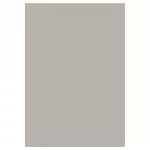 Vaip sise Ayyildiz SKY2002905400BEIGE, beež v., 290 cm x 200 cm