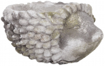 Lillepott Home4you Hedgehog, betoon, 20 cm x 15 cm, hall