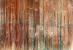 Fototapeet Artgeist Forest Cottage, 70 cm x 100 cm