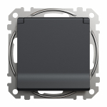 Pistikupesa Schneider Electric Sedna Design SDD214024, maandusega, IP44, antratsiit v.