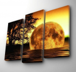 Dekoratsioon Wallity Canvas Painting, 45 cm, 66 cm, must v./kollane v.