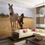 Fototapeet Artgeist Horse And Foal XXLFTNT0140, 231 cm x 300 cm