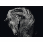 Pusle Schmidt Ashley Rader: Power - Horse, In The Sign Of Strength, 1000 tk