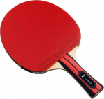 Lauatennise reket Butterfly Champion