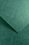 Dekoratiivpaber Galeria Papieru Flash, A4, 220 g/m&sup2;, roheline, 29.7 cm x 21 cm