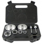 Augufrees Geko, 2.2 cm, 6 tk