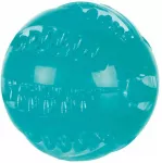 M&auml;nguasi koerale, pall Trixie TX-33680, &Oslash; 6 cm, helesinine v.