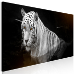 Reproduktsioon Artgeist Shining Tiger, g-b-0133-b-d, 135 cm x 45 cm