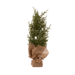 Kunstlik j&otilde;ulupuu Christmas Touch HF7347, 35 cm, koos alusega