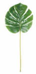 Kunsttaim, monstera Splendid Monstera, roheline, 51 cm