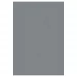 Koridorivaip Sky SKY802505400GREY, hall v., 250 cm x 80 cm