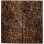 Terraariumi dekoratsioon Repti Planet Background cork natural, 435 mm x 410 mm