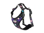 Koerte traksid Amiplay Discovery BeSpace, must v./lilla v., 600 - 850 mm x 25 mm, XL