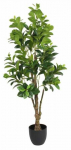 Kunsttaim potis Splendid Money Tree, roheline v., 130 cm x 18 cm