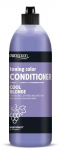Juukse konditsioneer Chantal ProSalon Cool Blonde