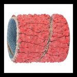 Lihvketas Pferd, 19 mm