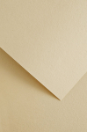 Dekoratiivpaber Galeria Papieru Wood, A4, 220 g/m&sup2;, kreemjasvalge, 29.7 cm x 21 cm