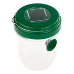 P&uuml;&uuml;nis k&otilde;ikv&otilde;imalikud putukad