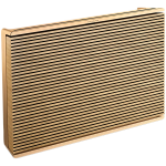 Juhtmevaba k&otilde;lar Bang & Olufsen Beosound Level, kuldne v., 105 W