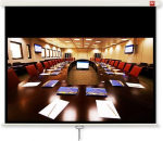 Projektoriekraan AVTek Business 240, 16:10