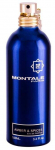 Parf&uuml;&uuml;mvesi Montale Paris Amber & Spices, 100 ml