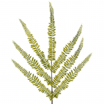 Kunsttaim 321, roheline, 92 cm