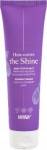 Juuksekreem Anwen Here Comes The Shine For High Porosity, 100 ml