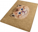 Vaip Conceptum Hypnose Bambino 882CHL3417, mitmev&auml;rviline, 120 cm x 80 cm