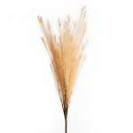 Kunstoks Flor 704, hele pruun, 80 cm