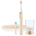 Elektriline hambahari Sencor SOC 4111GD, kuldne v.