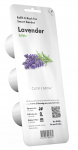 Nutiaia seemned Click & Grow, lavendel, 3 tk