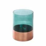 K&uuml;&uuml;nlahoidja Salvia 8, klaas, &Oslash; 15 cm, 20 cm, vask/roheline