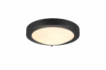 Valgusti plafoon Trio CONDUS H2O, 60 W, E27, 6801011-32