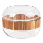 Vaas Grace 2, 17 cm, l&auml;bipaistev/hele pruun