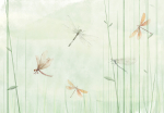Fototapeet Artgeist Dragonflies In The Meadow, 70 cm x 100 cm