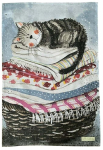 K&ouml;&ouml;gir&auml;tik Alex Clark Laundry Cat TT08, mitmev&auml;rviline, 65 cm x 45 cm